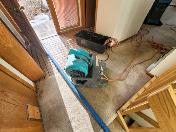 Best 24/7 water damage repair  in Ionia, MI