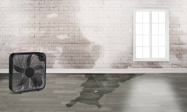 Professional Water damage restoration in Ionia, MI
