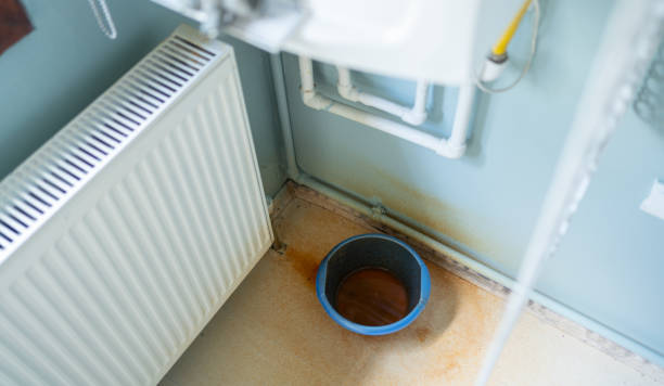 Best Water damage cleanup near me  in Ionia, MI