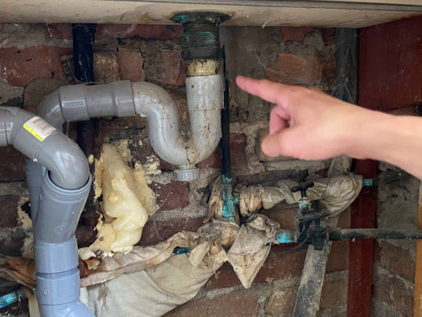 Best Professional water damage repair  in Ionia, MI